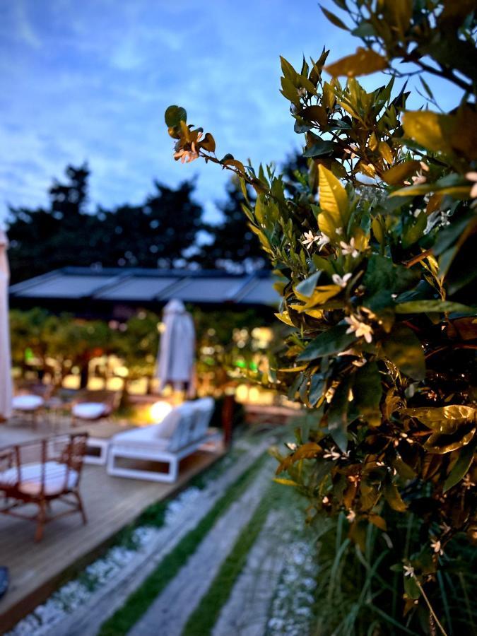 Hotel Tiny Town Kuyucak à Karaburun  Extérieur photo